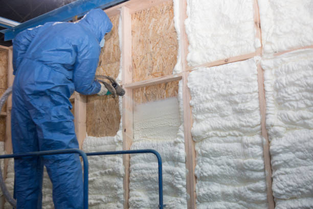 Best Attic Insulation Installation  in Rosaryville, MD